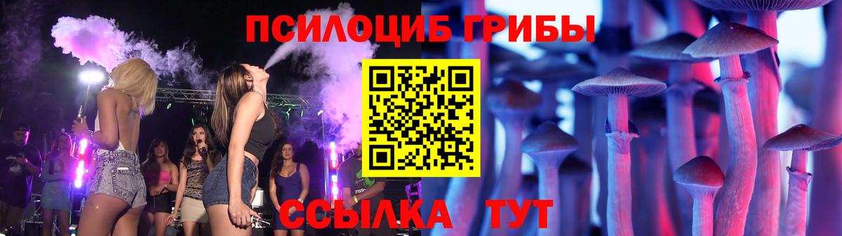 Малгобек  Псилоцибиновые грибы мицелий  Вход с VPN 